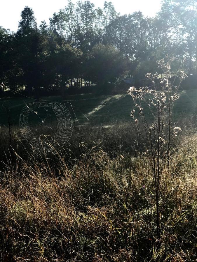 Vila Chalupa u Pichlerů Stachy Exteriér fotografie