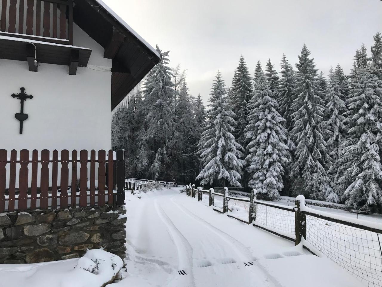 Vila Chalupa u Pichlerů Stachy Exteriér fotografie