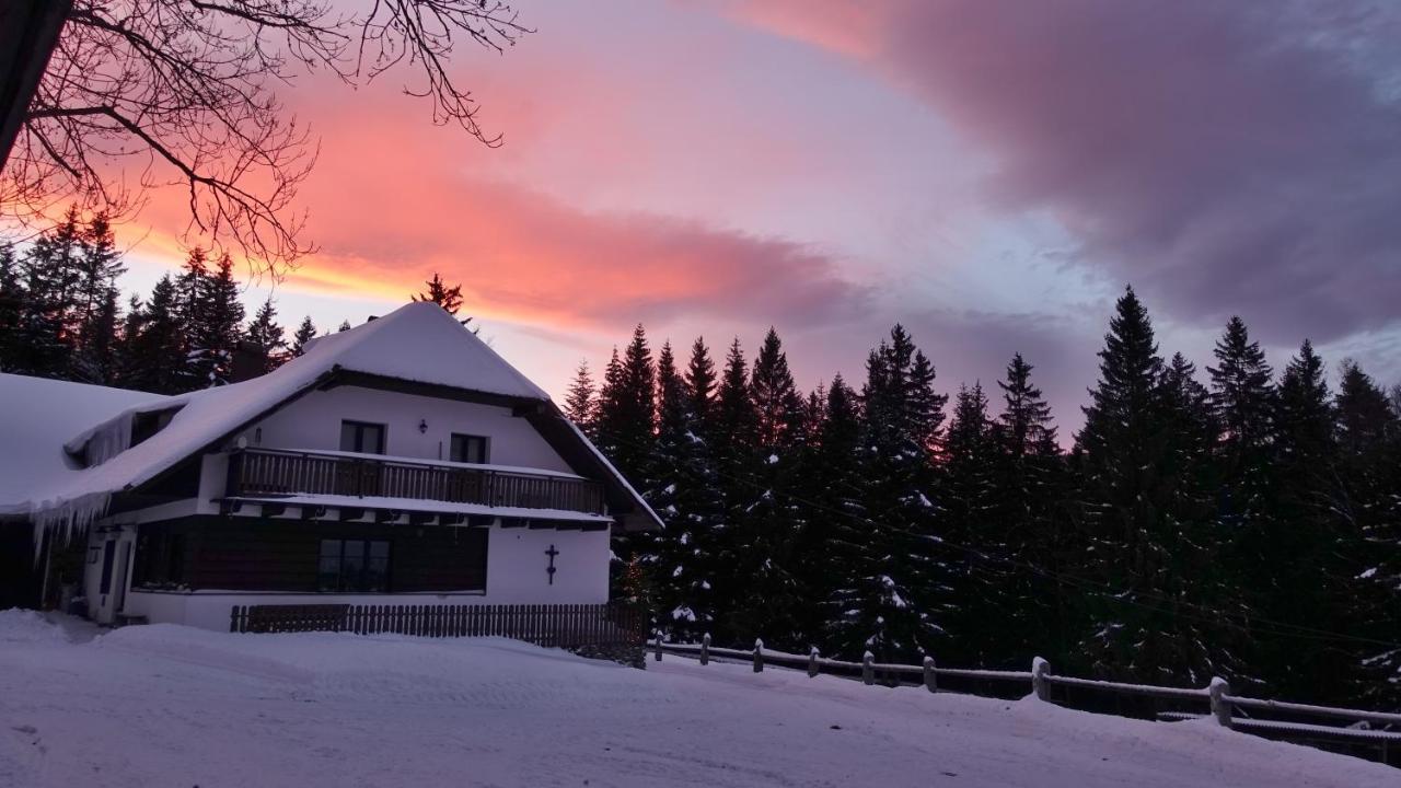 Vila Chalupa u Pichlerů Stachy Exteriér fotografie