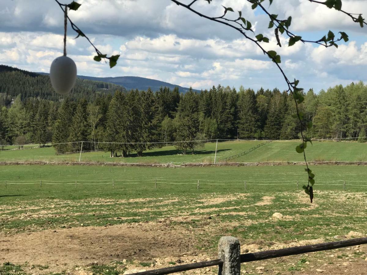 Vila Chalupa u Pichlerů Stachy Exteriér fotografie